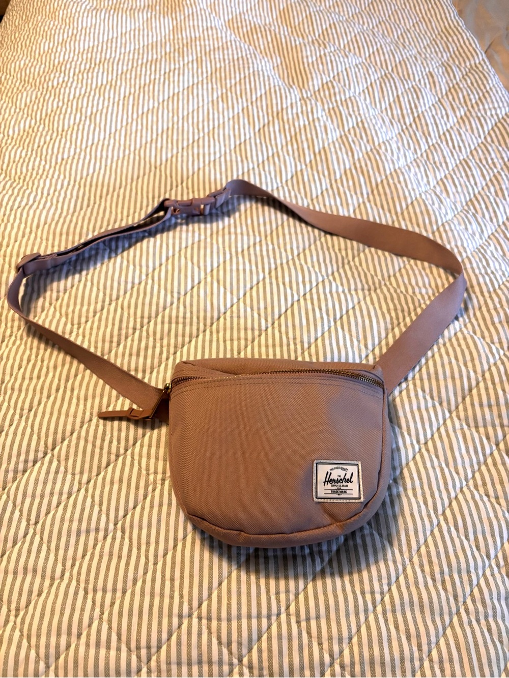 Herschel Supply Company Settlement Belt Bag in Ash Rose